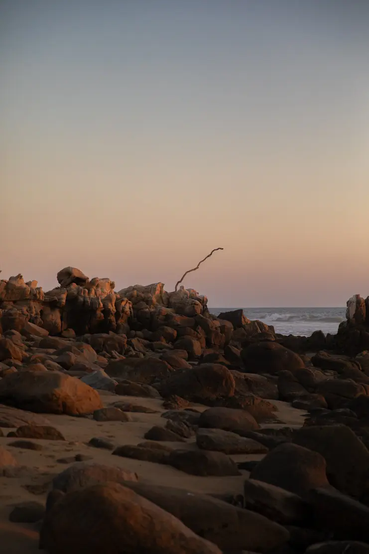 Nature's art along the shore