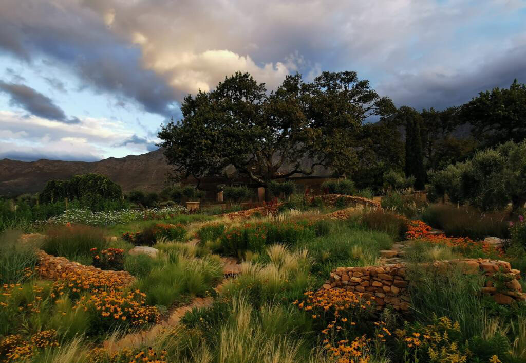 The chakra garden at Sterrekopje, the grounds includes a regenerative farm with 12+ acres