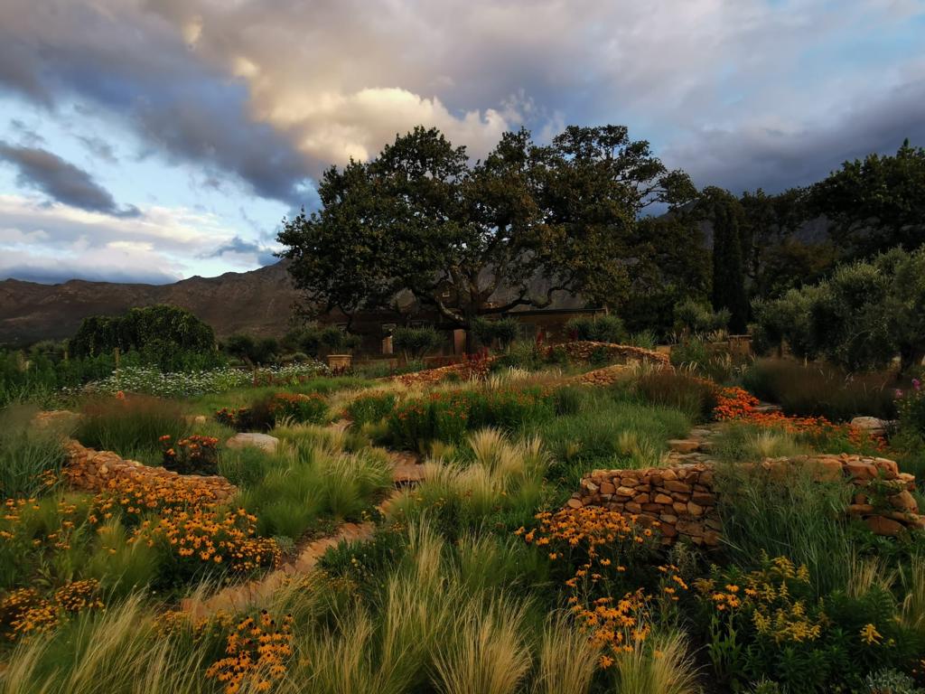 Explore the Chakra garden