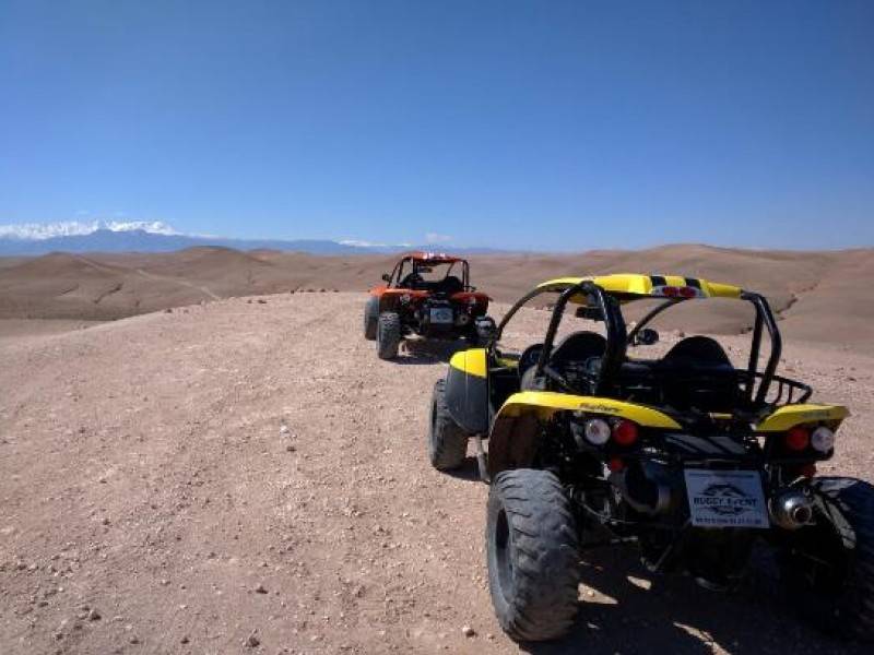 Ride ATVs through the desert