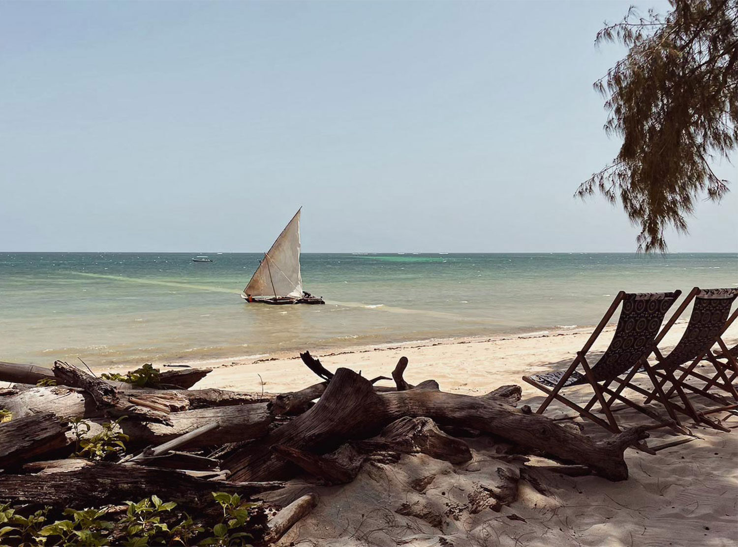 Kinondo Kwetu You can hear the distant chatter of local fisherman working the shallows