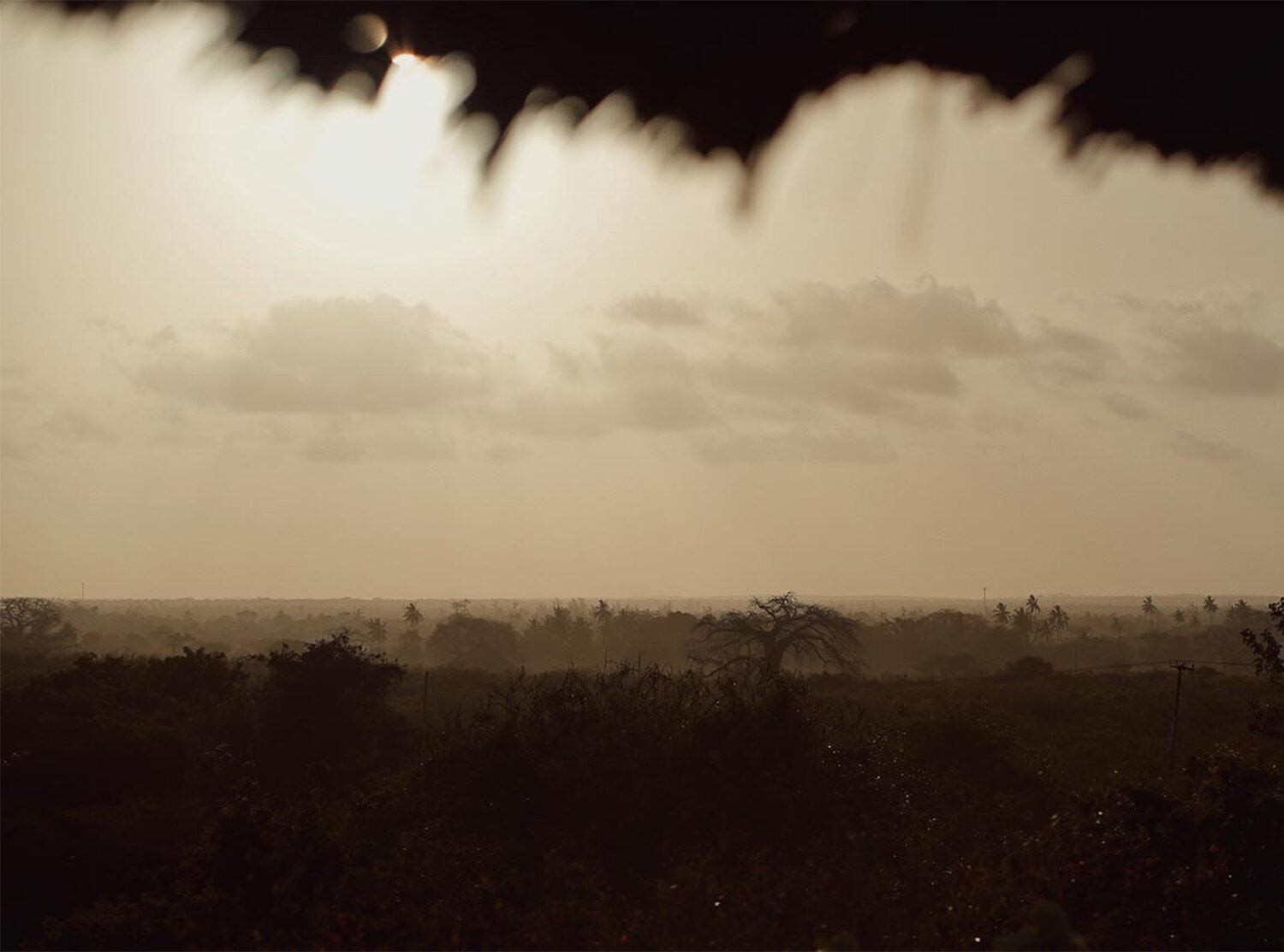 Kinondo Kwetu Bush and baobabs for miles