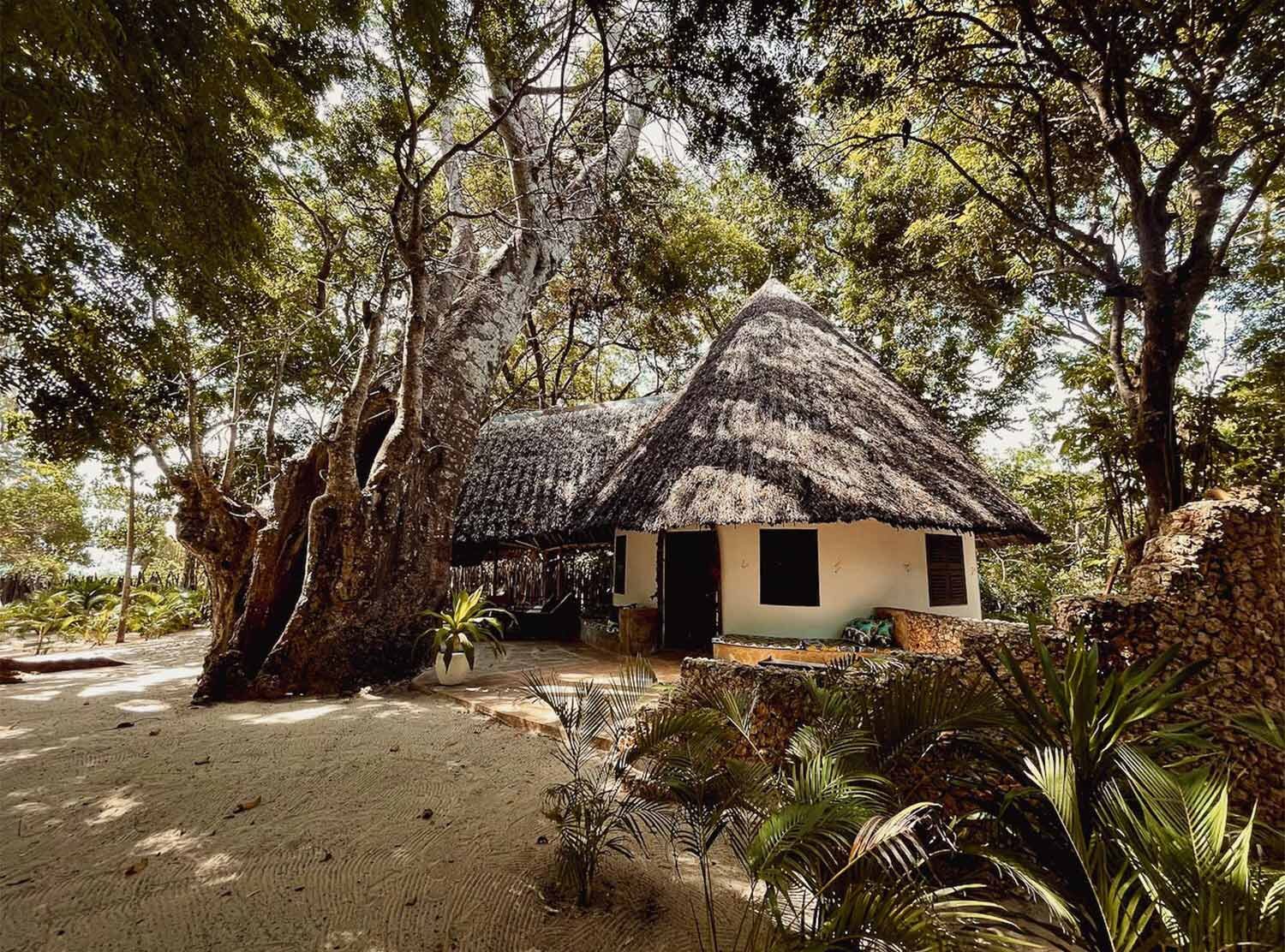 Kinondo Kwetu Whimsical cottages and ancient baobabs
