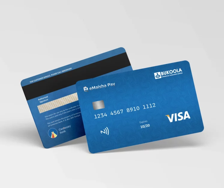 Visa credit card