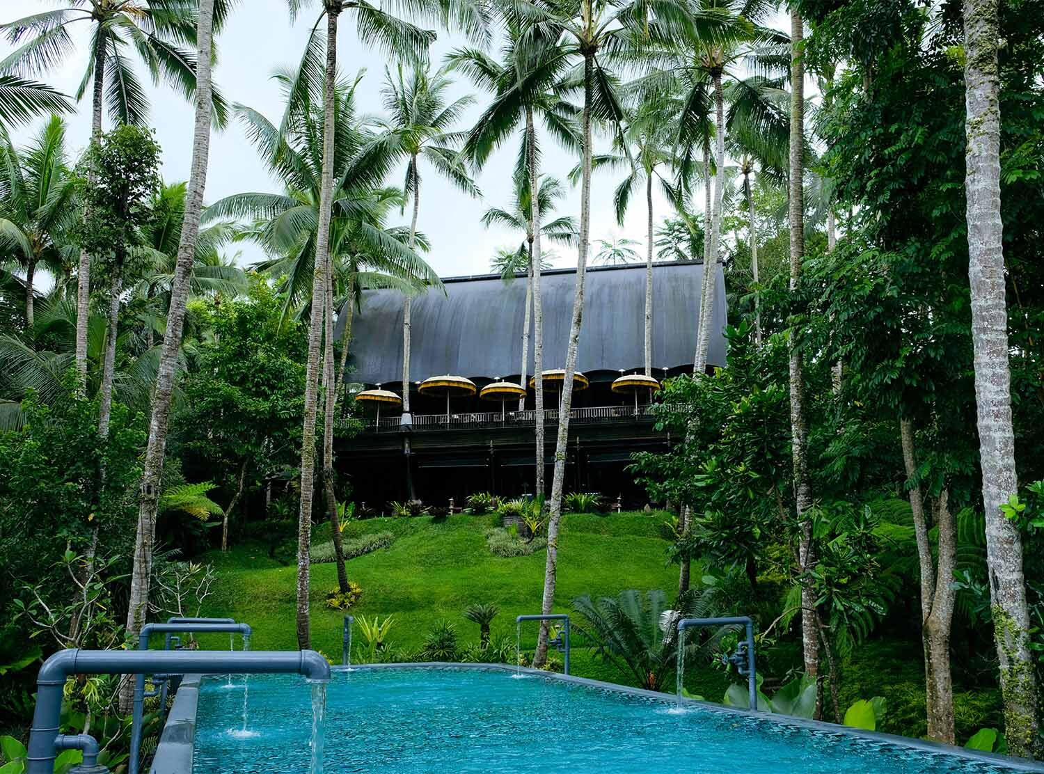 Capella Ubud The hotel was built to adapt to the landscape, and most of the staff grew up playing in this jungle. That pulls on my heartstrings