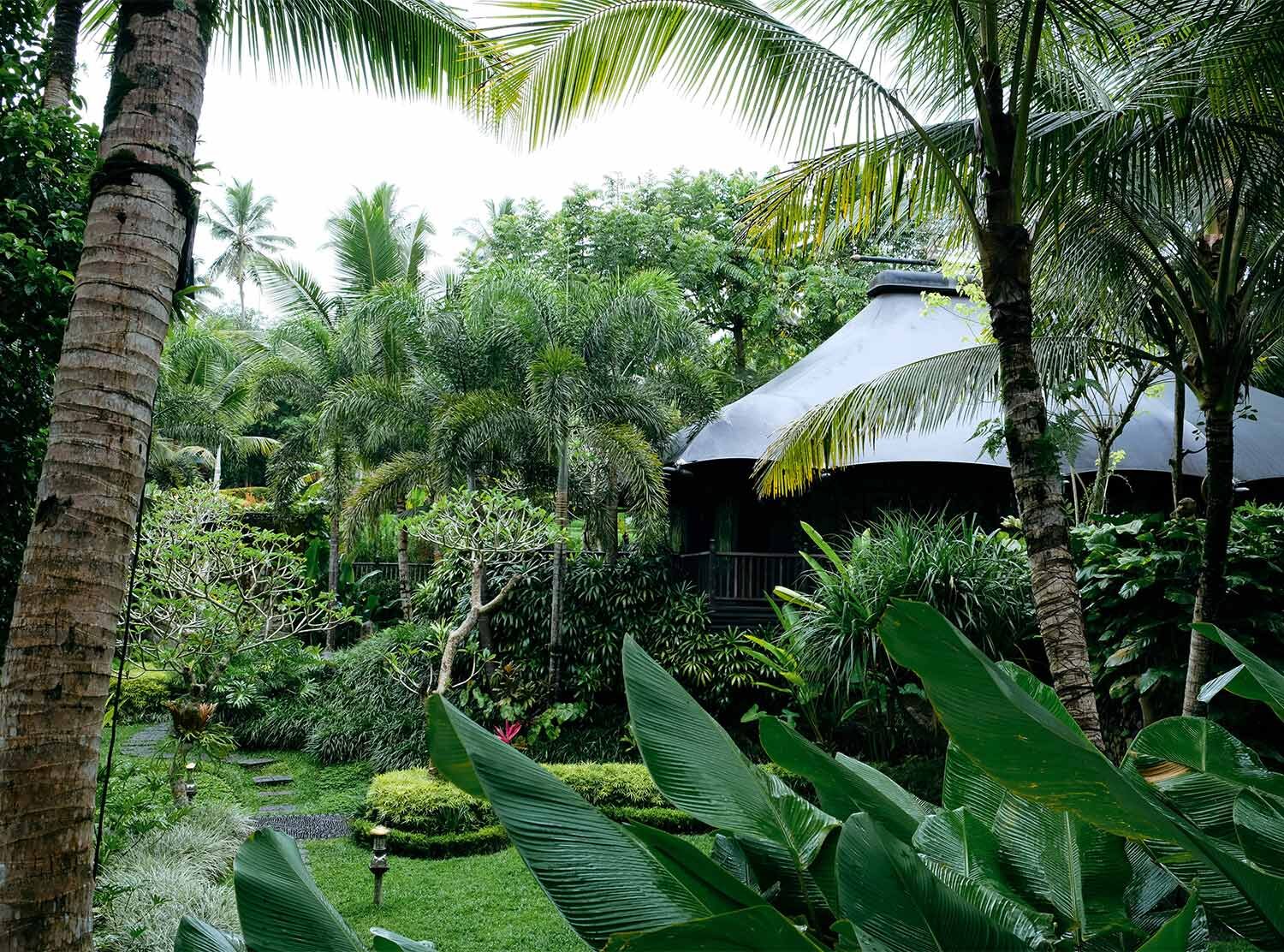 Capella Ubud Enter the tucked-away tented slice of a dream in the rainforest of Bali in the shape of the camp Capella Ubud