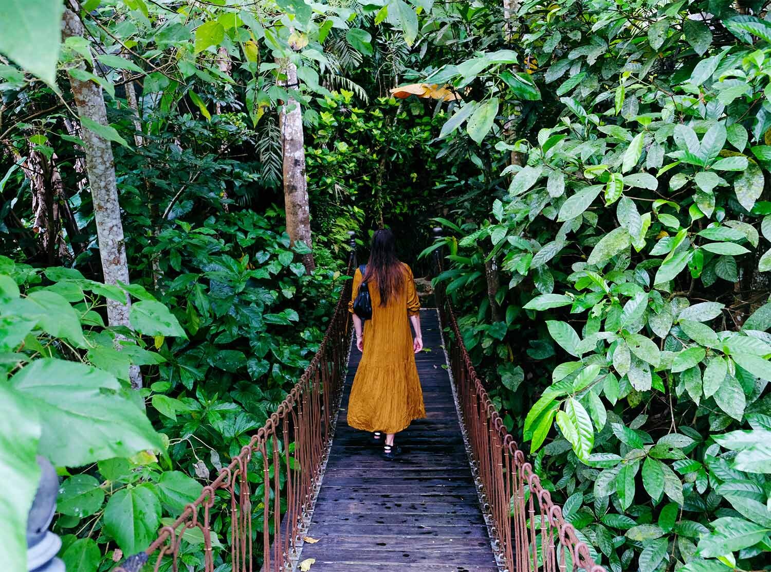 Capella Ubud When you work your way through the meticulously stared jungle, the entrance to each room, or rather tent, is a hanging bridge. What a magical way to discover your residence