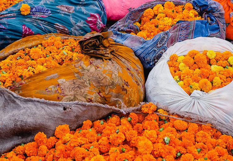 Phool Mandi / Flower market