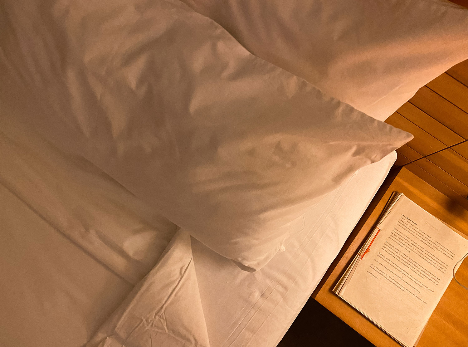 Dhensa Bedside essential reading — a booklet introducing the hotel and country
