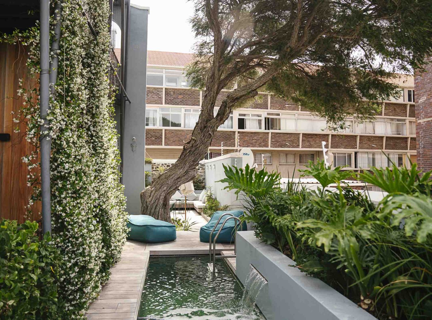 Harpers House Tiny little pocket sized plunge pool surrounded by the hotels lush succulent gardens. 