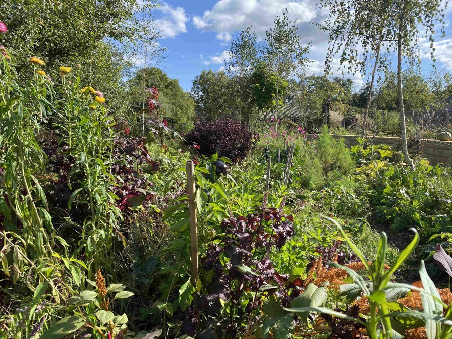 Michelberger Farm This regenerative farm is no joke