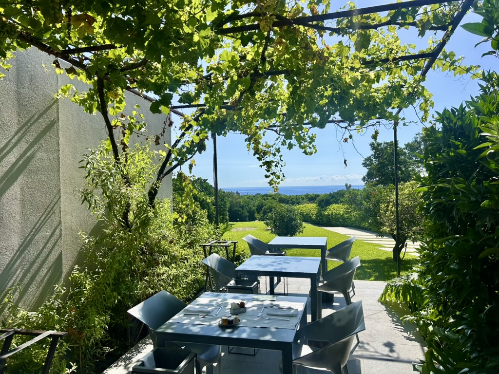 Zash Country Boutique Hotel & Spa Breakfast beneath the grapevines 