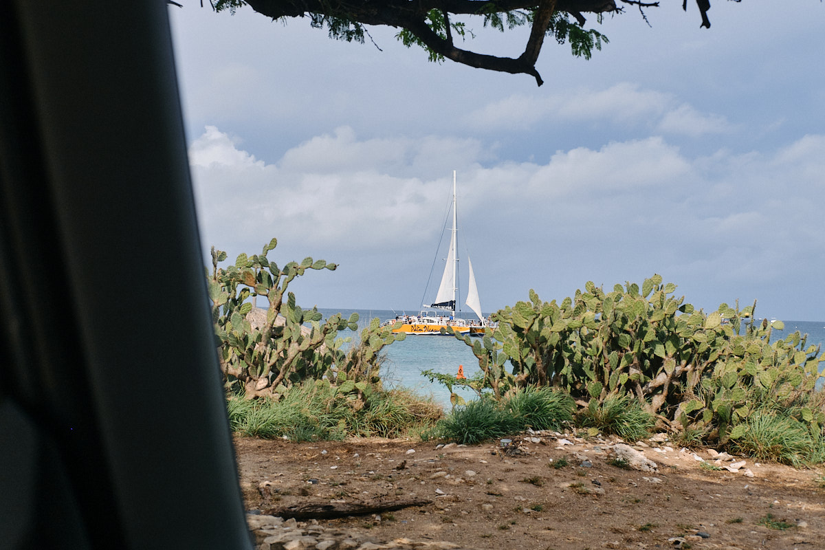 Boardwalk Boutique Hotel Aruba Boca Catalina Beach. Watersport outfitters are a common sighting up and down the coast