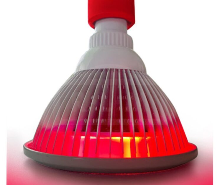  Red Light Man - mini device