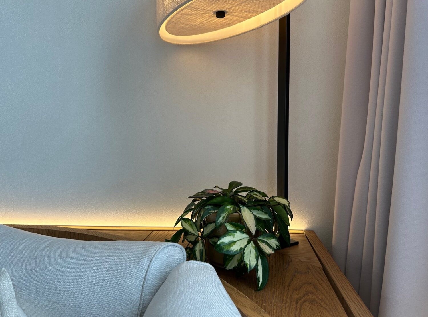 1 Hotel Mayfair An in-room plant says so much about a hotel