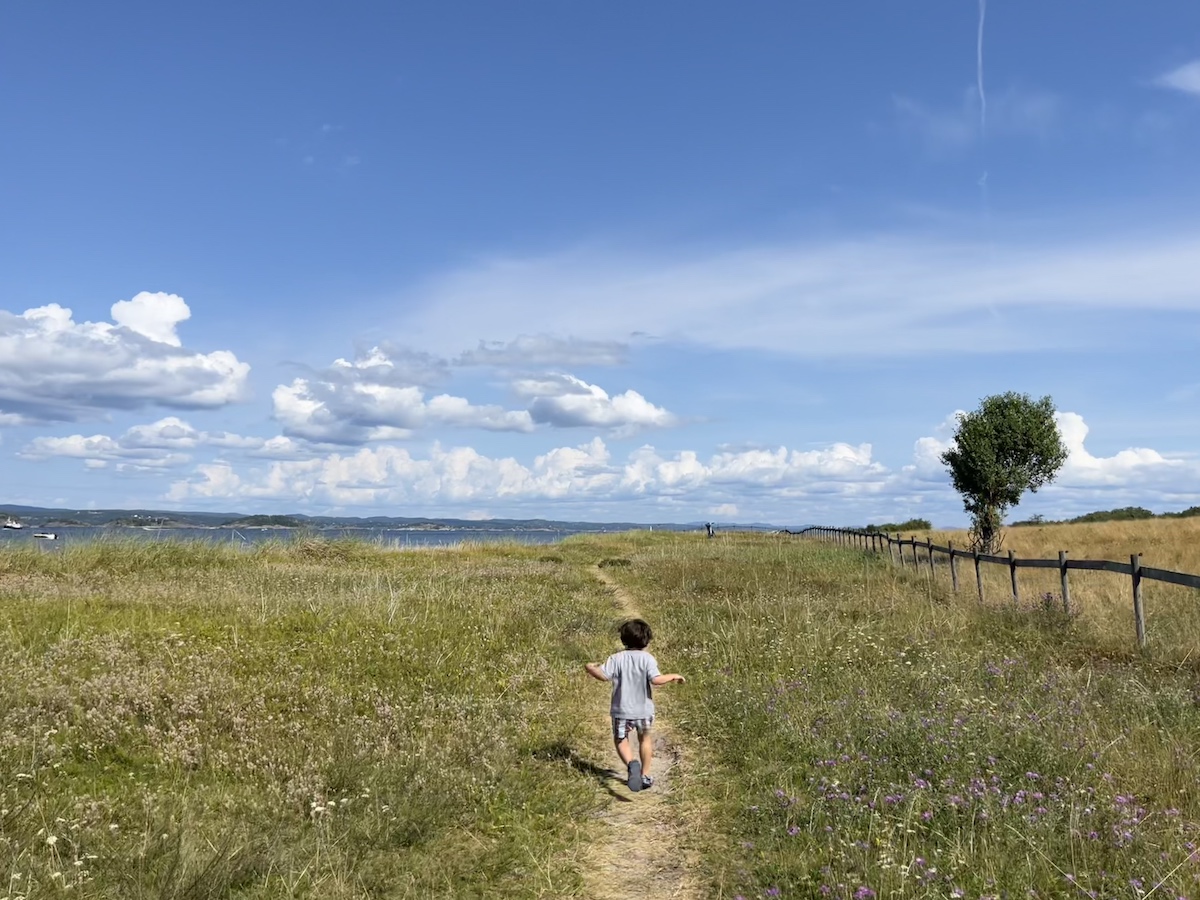 Tollboden Hotel Jomfruland island outing and the picture perfect everything. We cycled, explored the farm and just spend time on the white sand beach with countless snacks