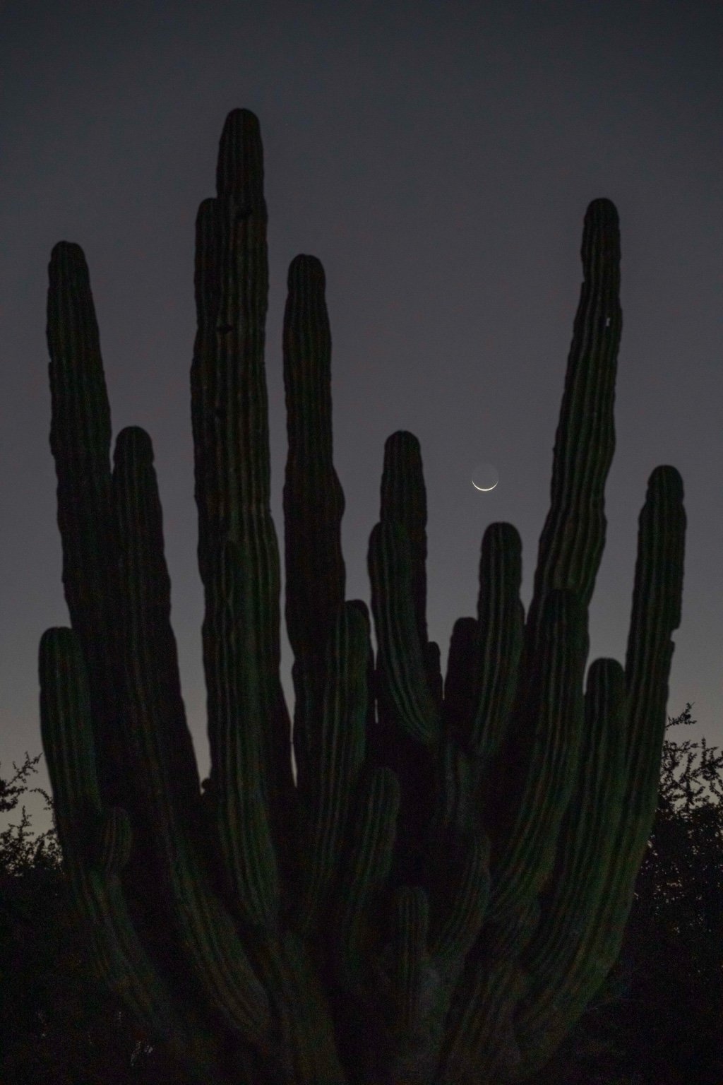 Moonrise over Casa de Zorros, captured by photographer Ernesto Roman 
