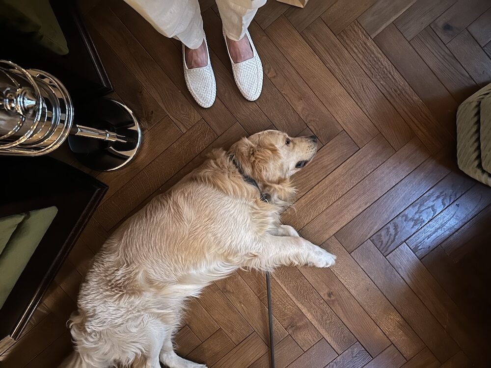 The Hoxton, Florence BILLY! To us anyway, the star of the show