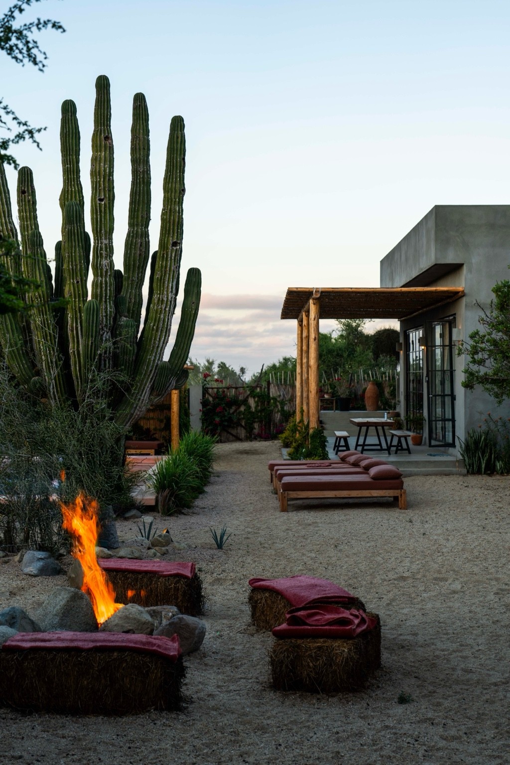 Fire pit, a three hundred year old Saguaro cactus, lounge beds by the pool and the al fresco meals and gathering by the kitchen terrace.