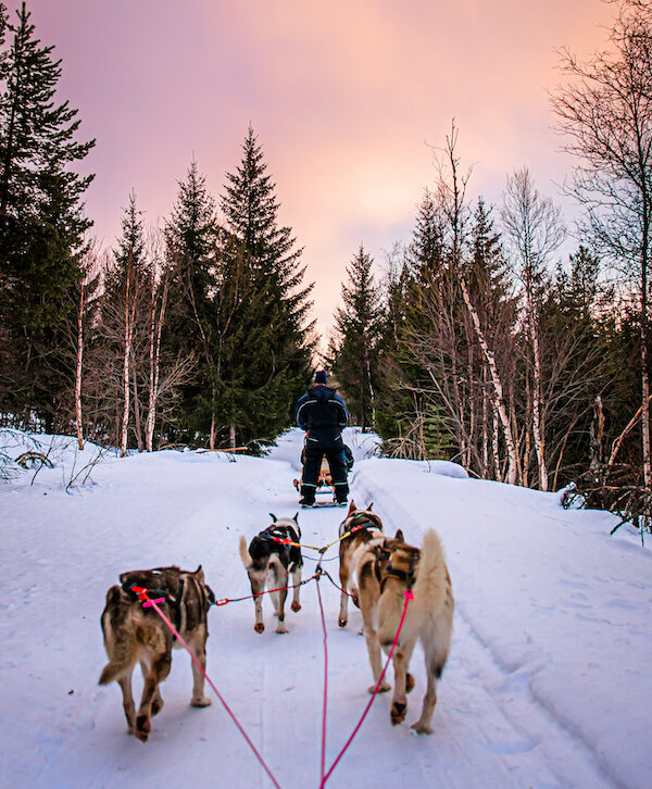 Sarah-Casewit-Tyson-Sadler-Norway-Dogsledding