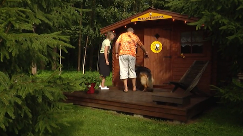 Bee Therapy at Saaremoor