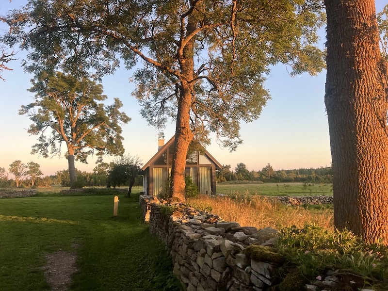 Pilguse Residency The grounds 