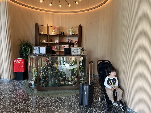 The Standard Singapore All bags packed, all buddies ready, a little sad to say goodbye. Especially to this reception island cabinet of curiosities! 
