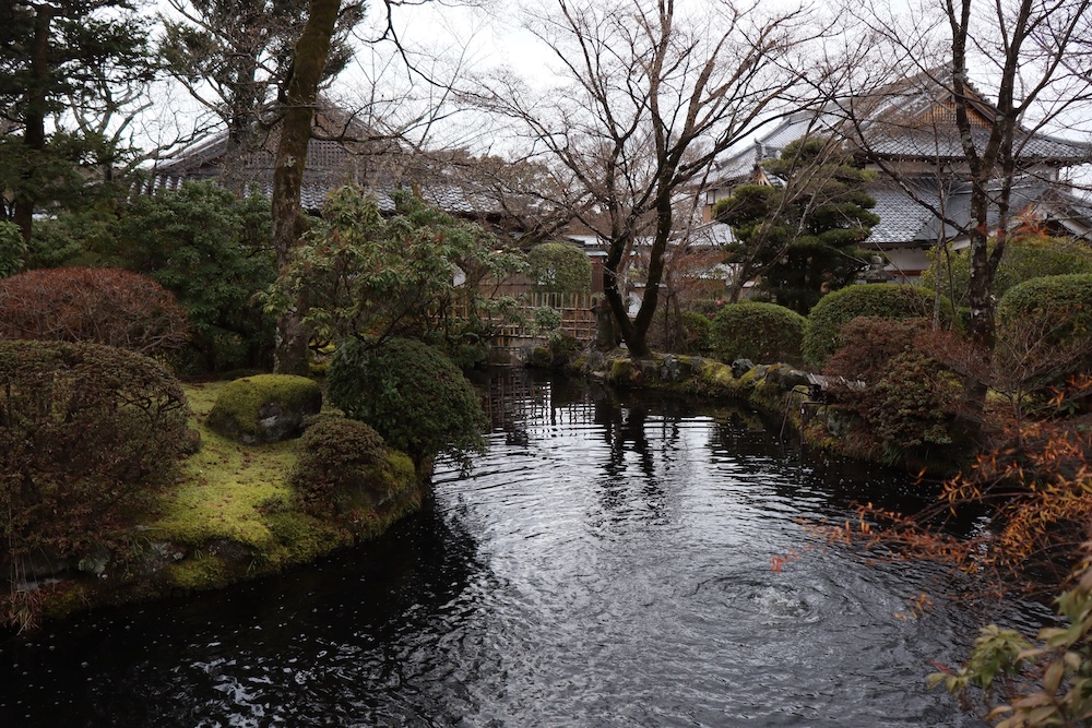 A perfect flash of Kyoto's iconic charm