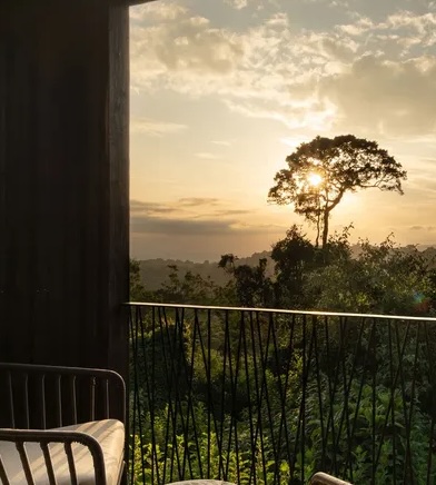 When A Safari Gives Back