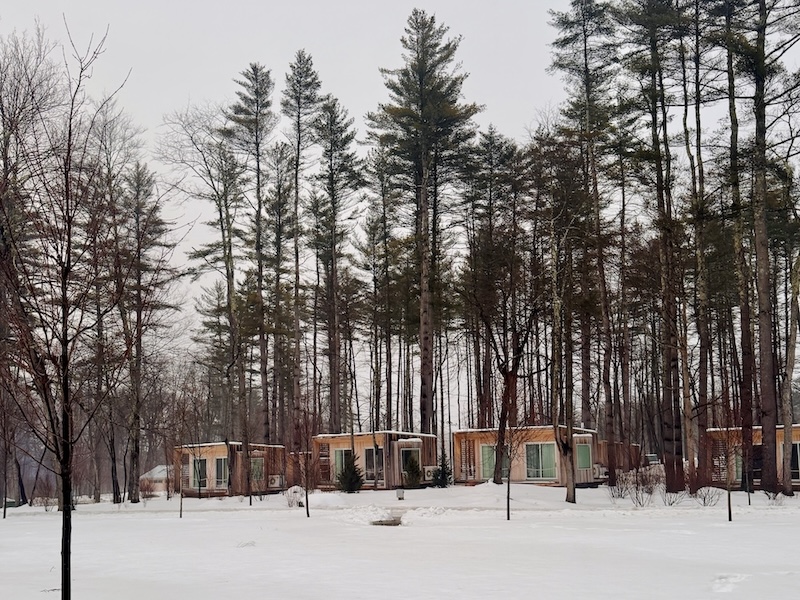 Prospect Berkshires The camp! Cabins nestled amongst giants