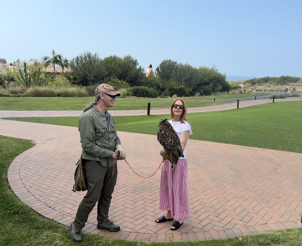 Terranea Resort Falconry with Joe Roy III! 