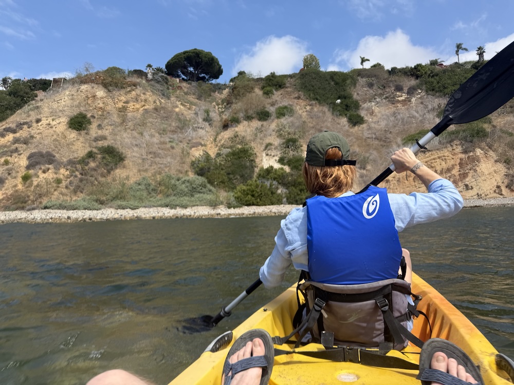 Terranea Resort Soon to be joined by dolphins 