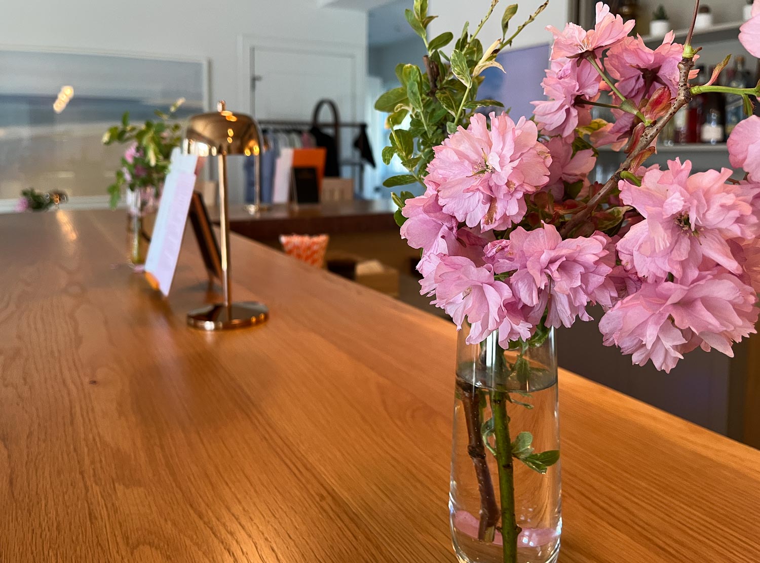 The Brant Stopped by the bar for a cocktail with a side of cherry blossoms