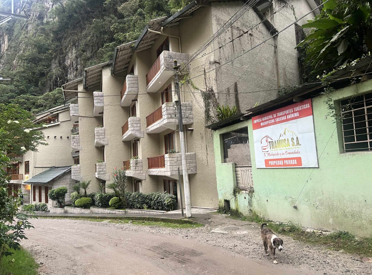 Sumaq Machu Picchu Hotel Saying goodbye to Aguas Calientes and its resident dogs