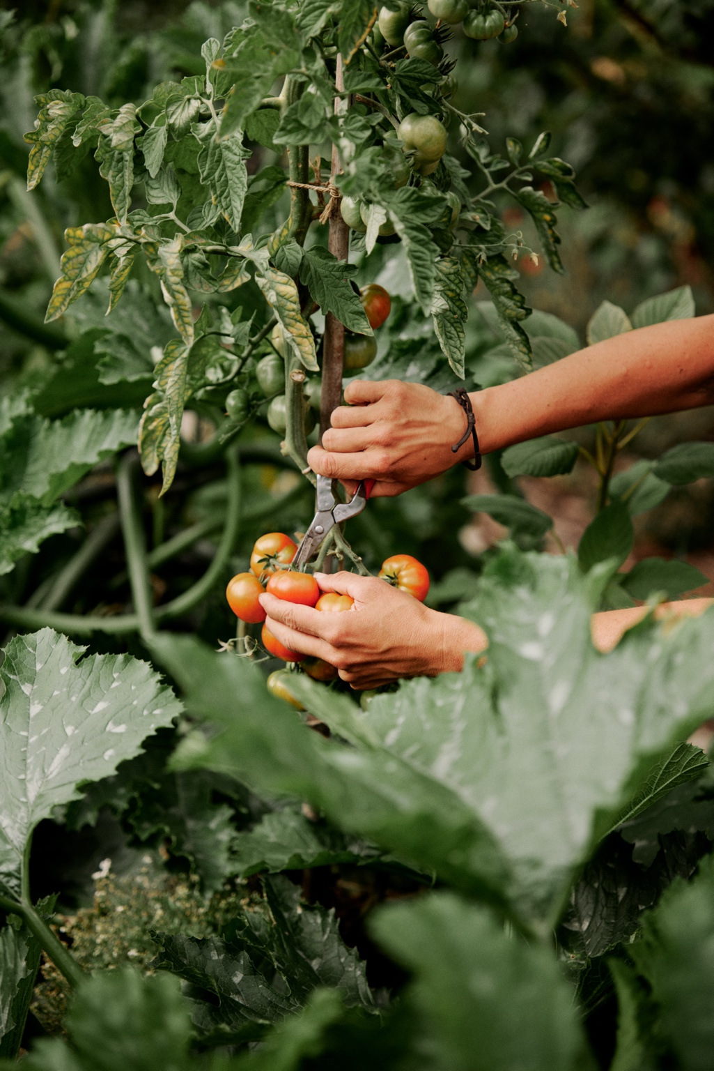 At Michelberger, the Berlin hotel was only the beginning. Rather than replicate the formula in new locations, Tom and Nadine expanded its reach in other directions, including a biodynamic farm. It’s an approach to growth less interested in getting bigger than in going deeper. “Hospitality is a complex human ecosystem,” says Tom.
