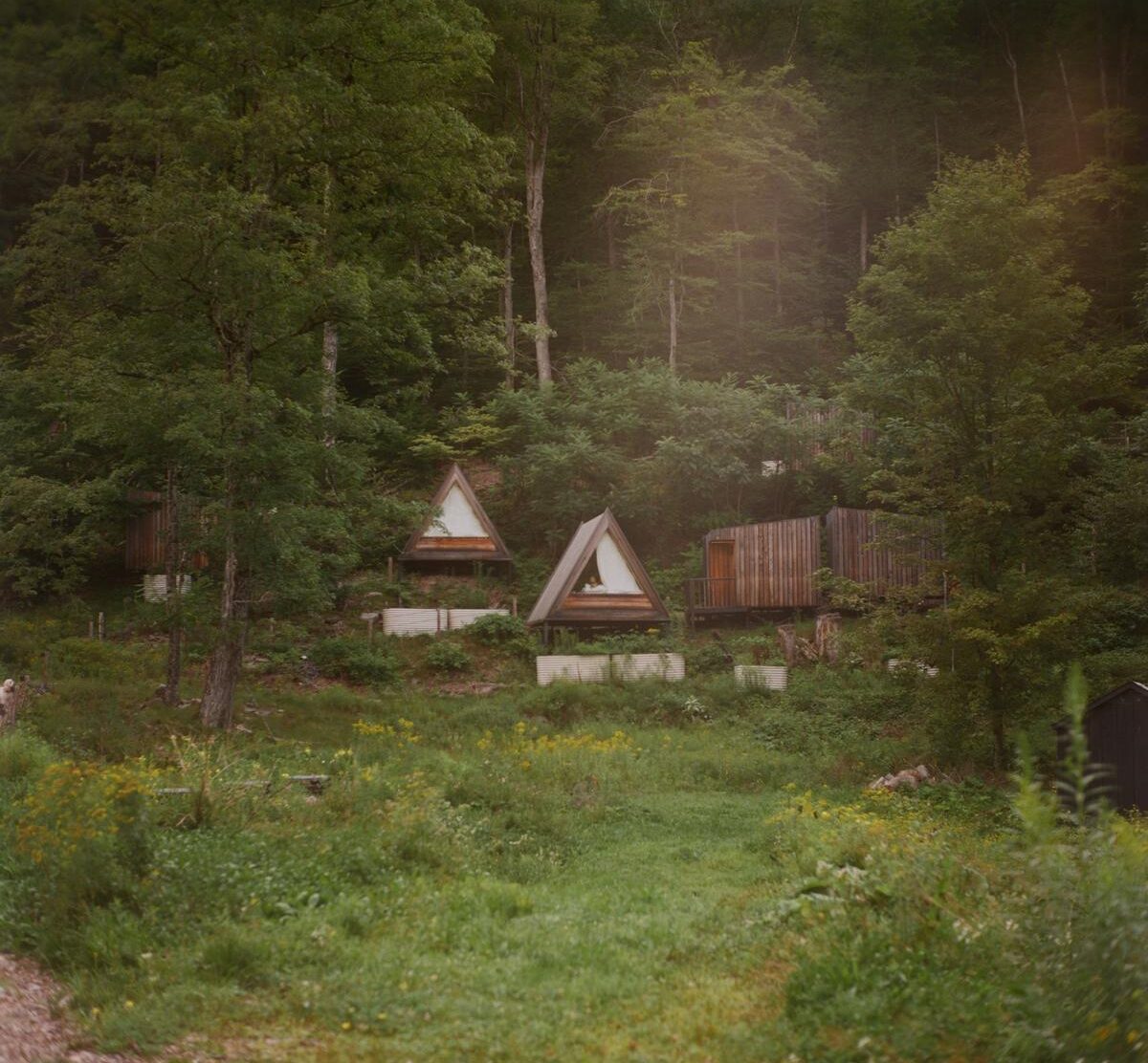 Eastwind Oliverea Valley Lushna A-frames tucked into the hillside like a tiny woodland village. Their steep roofs and warm wood give the feeling of elevated camping without surrendering a proper bed or thoughtful design